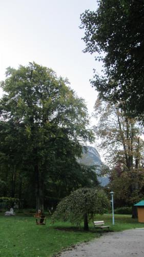 IMG_4628.JPG