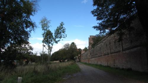 IMG_4808.JPG