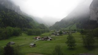 IMG_7964.JPG