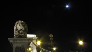 IMG_2867.JPG