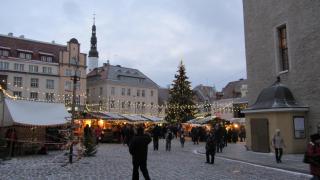 IMG_4925.JPG