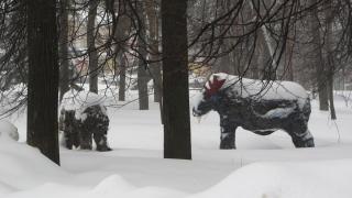 IMG_5645.JPG