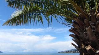 IMG_7674.JPG