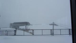 IMG_7917.JPG