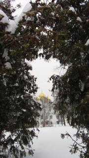 IMG_5581.JPG