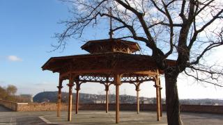IMG_2802.JPG