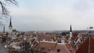 IMG_4790.JPG