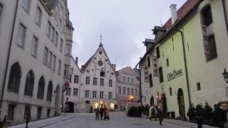 IMG_4913.JPG