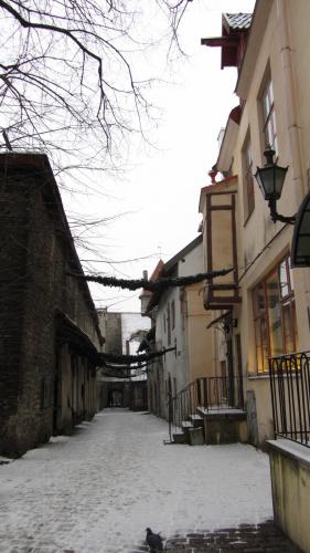 IMG_8418.JPG