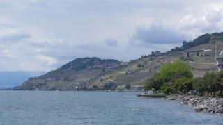 IMG_7752.JPG