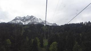 IMG_7248.JPG