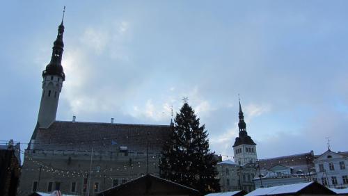 IMG_7479.JPG
