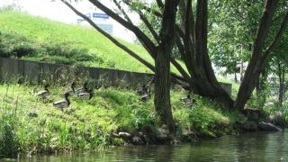 IMG_4651.JPG