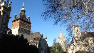 IMG_2478.JPG