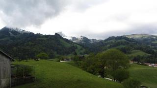 IMG_7502.JPG