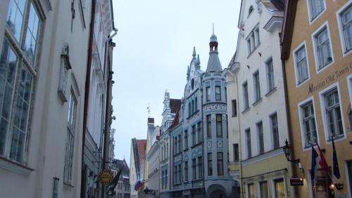 IMG_7441.JPG