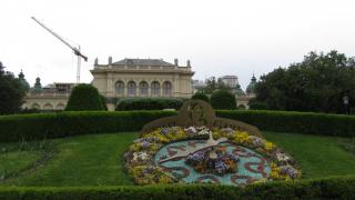 IMG_6384.JPG