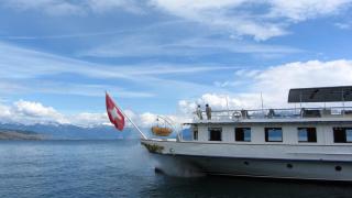 IMG_7790.JPG