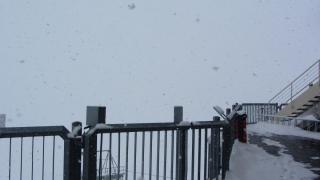 IMG_7940.JPG