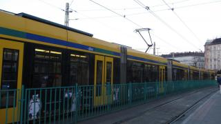 IMG_2850.JPG