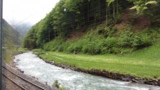 IMG_7979.JPG