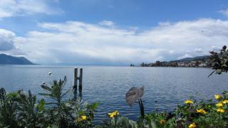 IMG_7689.JPG