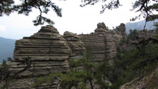 IMG_20067.JPG
