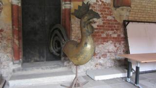 IMG_4494.JPG