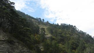 IMG_20110.JPG
