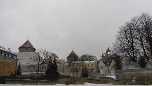 IMG_8383.JPG