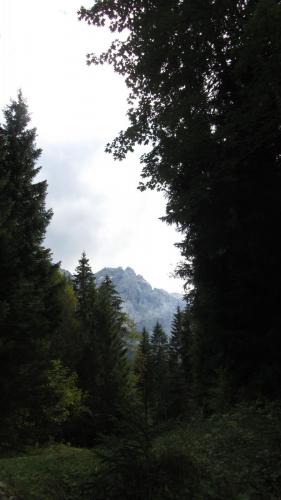 IMG_3670.JPG