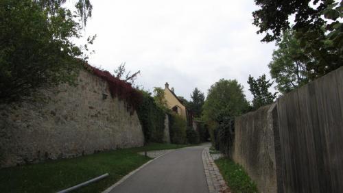 IMG_5349.JPG
