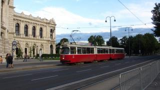IMG_6530.JPG