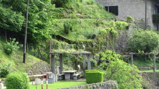 IMG_6871.JPG