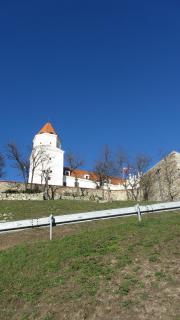 IMG_3147.JPG