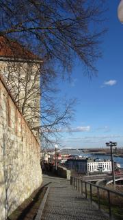 IMG_3141.JPG