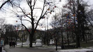 IMG_4616.JPG
