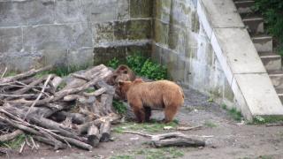 IMG_7394.JPG