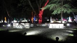 IMG_19692.JPG