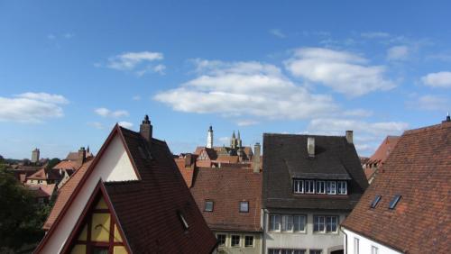 IMG_5925.JPG