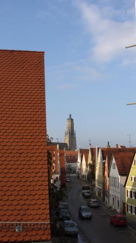 IMG_4977.JPG