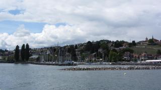 IMG_7784.JPG