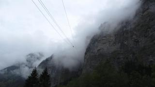 IMG_7899.JPG