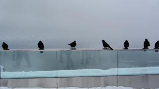 IMG_7157.JPG
