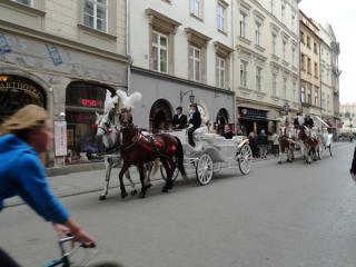DSC04103.jpg