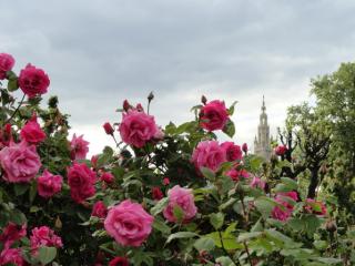 DSC04058.jpg