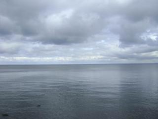 DSC04730.JPG