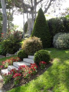 DSC03238.jpg
