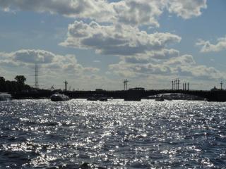 DSC05559.JPG