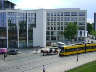DSC03538.JPG